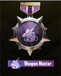 Weapon Master