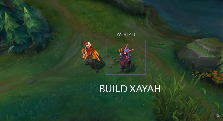build-xayah