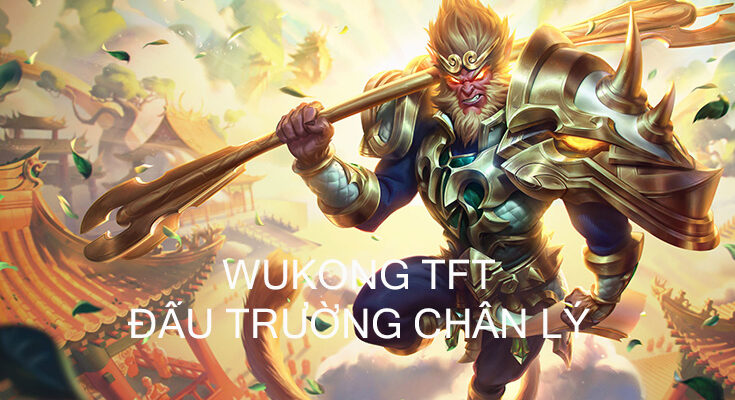 wukong-dtcl-bia